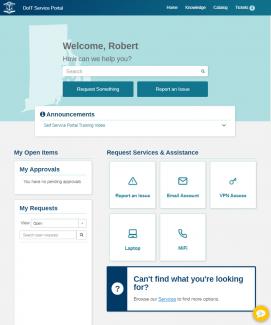 DoIT Service Portal